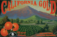California Gold: The Northern Counties Expansion