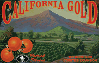 California Gold: The Northern Counties Expansion