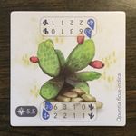 Petrichor: Cactus Promo Tile