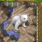Zooloretto - Polar Bear